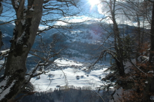 Blick aufs Dorf Fideris im Winter_B&BTuermlihus_3
