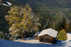 Blick ins Prättigau_B&BTuermlihus_1